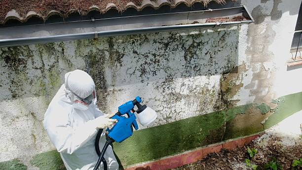 Top rated local Crawl Space Mold Remediation specialists in Jamestown, CO